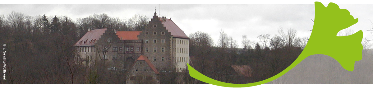 Enrichmentkurs „Mittelalter“ am Siebold-Gymnasium in Würzburg geniest adelige Gastfreundschaft