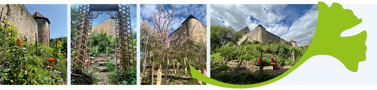 09. Mai 2026 - Europatag und Eröffnung des „Archäobotanischen Gartens – Orient trifft Okzident“ in Burggrumbach