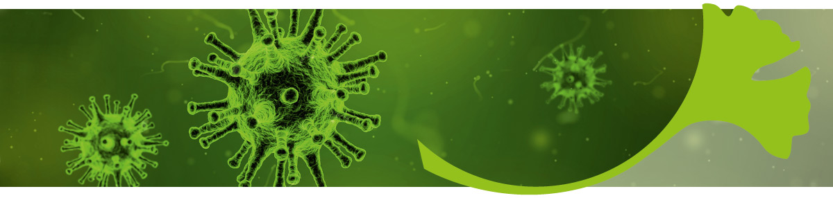 Schutz vor Grippeviren mit Dr. Pandalis Cystus052®