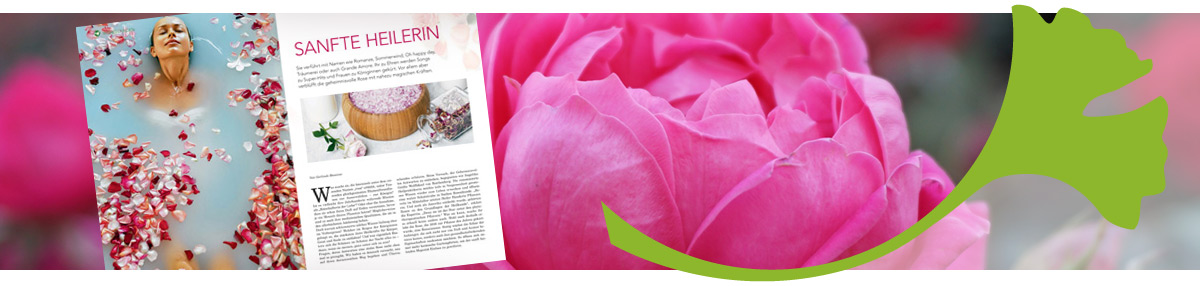 Mein Artikel „Rosenmedizin“ in der Zeitschrift „kerngesund“