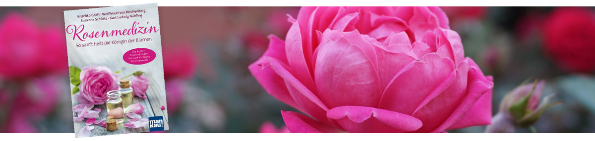 Rosenmedizin – So sanft heilt die Königin der Blumen